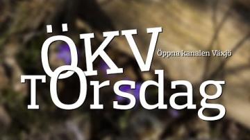 ÖKV Torsdag - Modelltåg