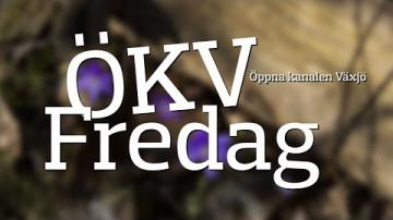 ÖKV Fredag med Musikmagasinet - Erika Hansson