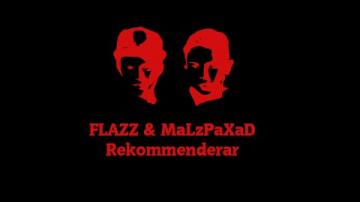 FLAZZ & MaLzPaXaD Rekommenderar GTA V