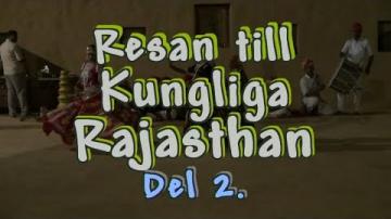 Resan till Rajasthan i Norra Indien, del 2 av 3