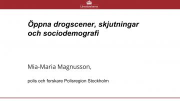 6. Öppna drogscener, skjutningar och sociodemografi (SYNTOLKAT)