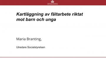 10. Kartläggning av fältarbete riktat mot barn och unga (SYNTOLKAT)