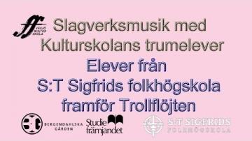 Kulturskolan och S:t Sigfrids folkhögskola
