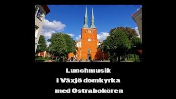 Lunchmusik i Växjö domkyrka med Östrabokören