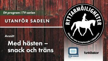 Utanför sadeln - Med hästen, snack och träns