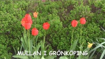 Mullan i Grönköping