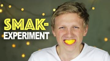 13. Experimenttisdag Smak -  LTH:s julkalender 2016