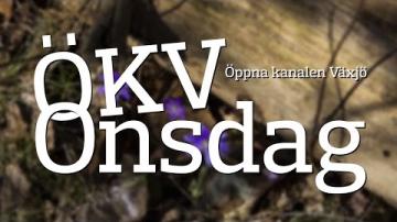 ÖKV Onsdag - Bergendahlska Gården