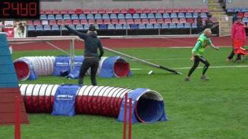 Agility-SM2016, Lag Small agility